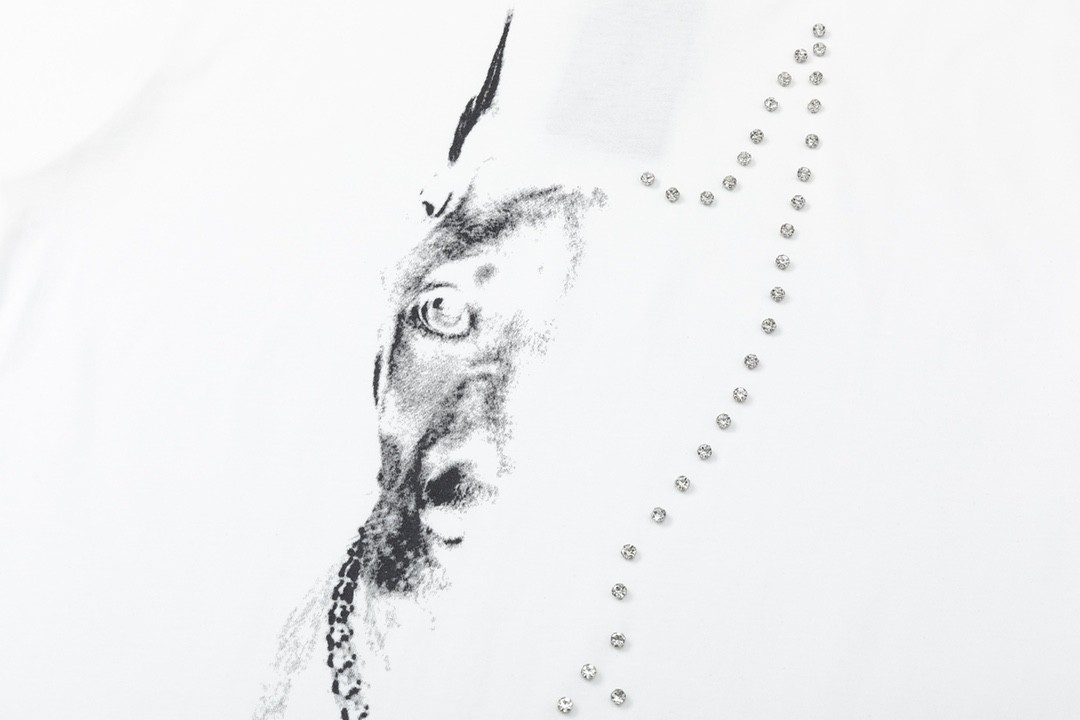 「#1517」Balenciaga 23Ss Drill Print Hound Design t-shirt - Image 4