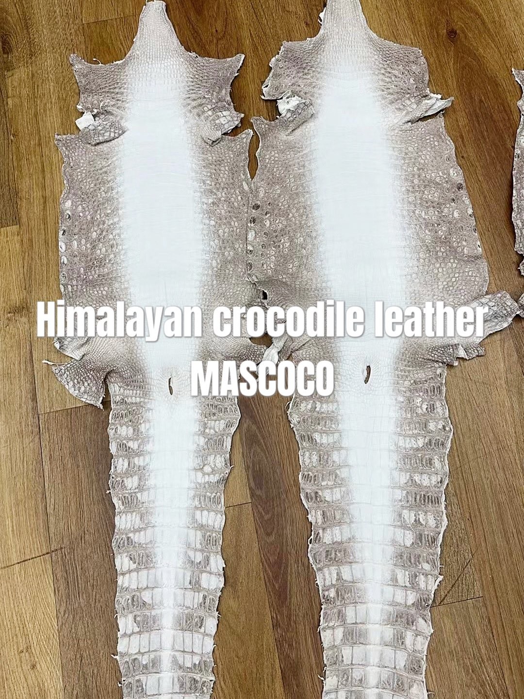 「#2052」【Handmade Custom】Louis Vuitton Himalayan Crocodile Leather Trainer Sneakers - Image 3