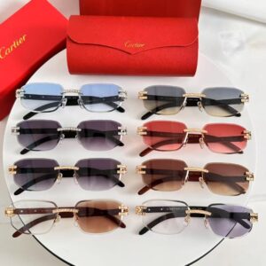 「#4112」Cartier sunglasses